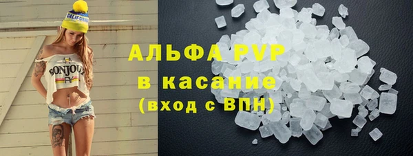 прущие грибы Богородицк