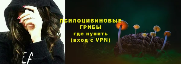apvp Балахна