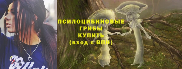 гидра Баксан