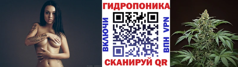 сколько стоит  Сковородино  МАРИХУАНА план 